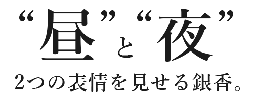 “昼”と“夜”。2つの表情を見せる銀香。