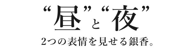 “昼”と“夜”。2つの表情を見せる銀香。